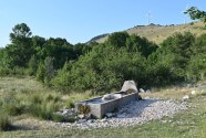 Fontanili